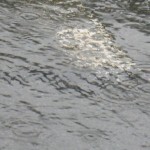 Water on Tarmac