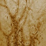 Rain Drops on Glass